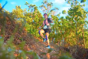 BIB: 2014
                            <button type="button" onclick="openModal(21833077)" class="btn btn-primary btn-sm float-right btn-popup" data-toggle="modal" data-target=".modal-high-quality">
                        <i class="fas fa-shopping-cart"></i> Add to Cart
                    </button>
                                            <button type="button" onclick="isThisMe(21833077, true)" class="btn btn-success btn-sm float-right btn-popup btn-isme hidden" data-toggle="tooltip" data-placement="bottom" title="นี่คือรูปของคุณใช่ไหม คลิกที่นี่เพื่อเอาเข้าอัลบั้ม">
                        <i class="fas fa-plus"></i> Add to album
                    </button>
                    <button type="button" onclick="isThisMe(21833077, false)" class="btn btn-warning btn-sm float-right btn-popup btn-isnotme hidden">
                        <i class="fas fa-ban"></i> Remove from album
                    </button>